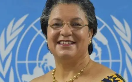 المبعوثة الأممية إلى ليبيا تدعو أمريكا لتنسيق الجهود مع الأمم المتحدة لتعزيز الاستقرار في البلاد