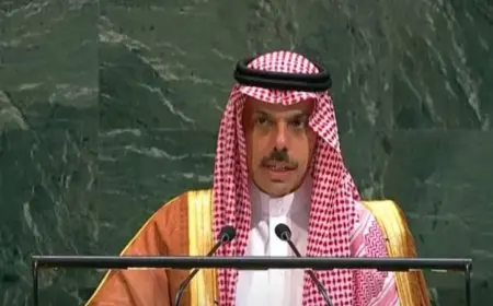 السعودية تدعو إلى ضرورة إيجاد حل عادل وشامل للقضية الفلسطينية الآن