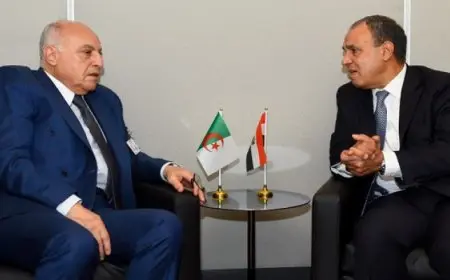 وزير الخارجية يناقش تعميق التعاون الثنائي مع نظيره الجزائري في نيويورك