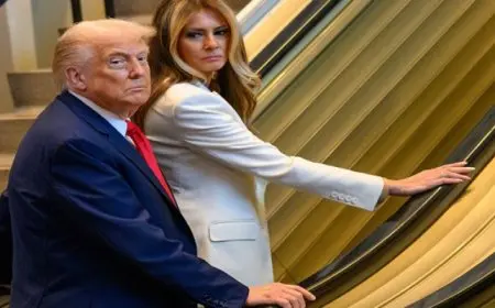 الأمم المتحدة تكشف عن احتمالية تسبب ترامب في حدوث توقف مفاجئ للسلم الكهربائي