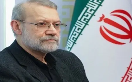 لاريجاني يحذر من قسوة الاحتلال الإسرائيلي ودول المنطقة تتعاون لوضع استراتيجيات لمواجهته