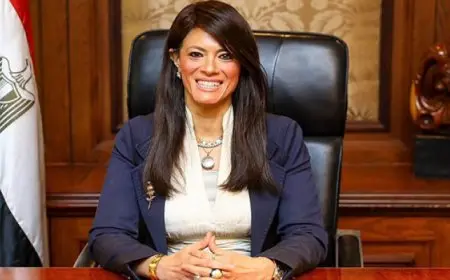 المشاط تكشف عن قرب إطلاق حزمة إجراءات وسياسات جديدة لدعم ميثاق الشركات الناشئة