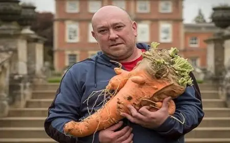 استكشف أكبر معرض للخضراوات العملاقة في بريطانيا وتجربة فريدة لن تتكرر