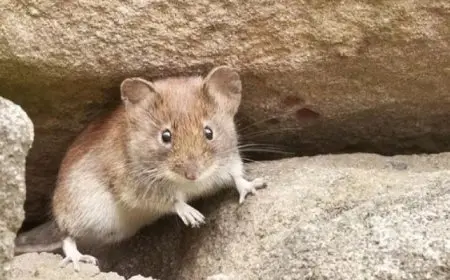 وزير الإنتاج الحربي يكشف عن تصنيع أجهزة مبتكرة لاست إنتاج المياه من الهواء وتوفرها في الأسواق قريبًا