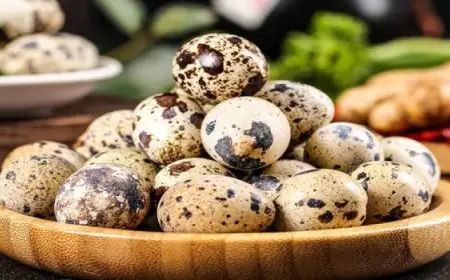 فوائد مذهلة لبيض السمان في مكافحة الشيخوخة وتعزيز صحة المناعة