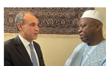 وزير الخارجية المصري يعزز العلاقات التاريخية مع غينيا ويؤكد على أهمية التعاون المشترك