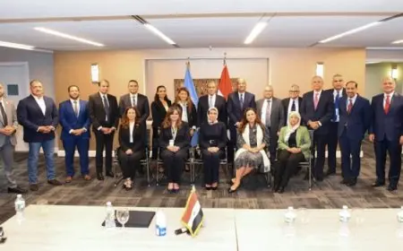 وزير الخارجية يثمن المساهمة الفعالة للكوادر المصرية في الأمم المتحدة