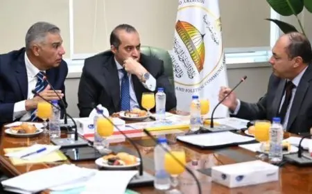 فوزي يبحث مع محافظ أسوان ورئيس هيئة تنمية الصعيد سُبل تعويضات أهالي النوبة