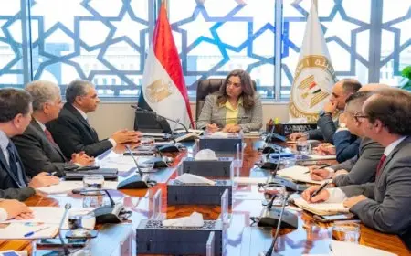 وزيرة التنمية المحلية تبحث سبل التعاون مع المدير التنفيذي لمركز سيدارى للبيئة والتنمية في المنطقة العربية وأوروبا