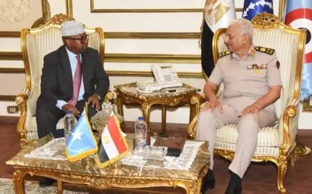 وزير الدفاع يتناول مع نظيره الصومالي سبل تعزيز التعاون العسكري في فيديو متميز