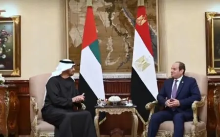 رئيس الإمارات يعبر عن إعجابه بالتطور الكبير في مناخ الاستثمار بمصر