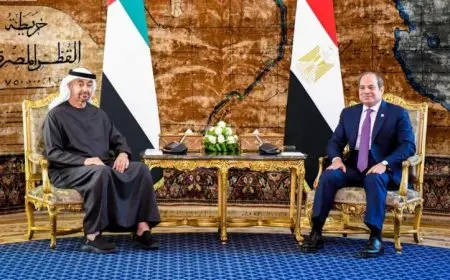 الرئيس السيسي يؤكد التزام مصر بتسهيل الاستثمارات الإماراتية وتعزيز الشراكة الاقتصادية