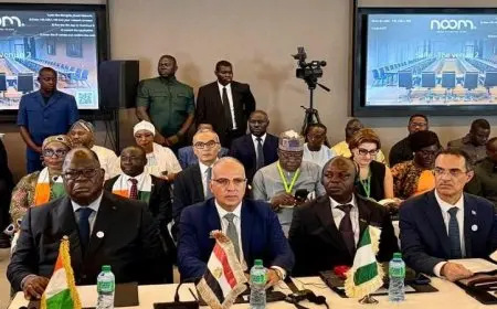 وزير الري يؤكد جهود مصر الكبيرة لتعزيز مكانة المياه على الساحة العالمية