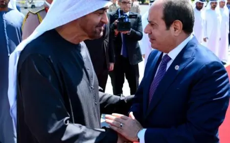 الرئيس السيسي يرافق الشيخ محمد بن زايد في وداعه بمطار القاهرة