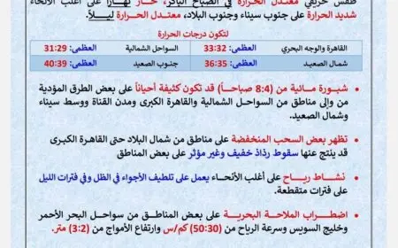 الأرصاد الجوية تكشف عن طقس حار نهارا ومعتدل ليلا مع ارتفاع درجات الحرارة في القاهرة إلى 33 درجة