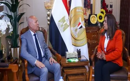 وزيرة التنمية المحلية تكشف عن تقدم المشروعات وتحديث المناطق في القاهرة