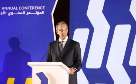 الإبداع البشري والتقدم التكنولوجي كأهم ركيزتين لتحقيق التنمية المستدامة في ظل رؤية طلعت