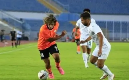 مصر وغينيا يعززان التعاون الثنائي في جميع المجالات وفق تأكيد وزير الخارجية