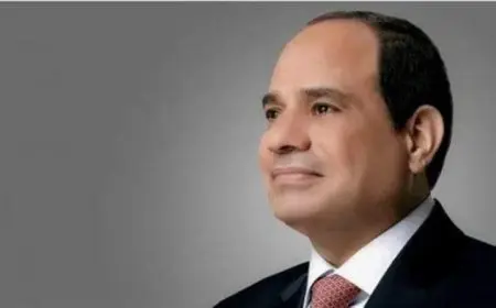 الرئيس السيسي يلتقي المبعوث الخاص لرئيس كوريا الجنوبية بارك بوم كي لتعزيز العلاقات الثنائية