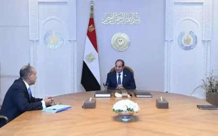 الرئيس السيسي يستعرض أبرز نتائج مشاركة مصر في الجمعية العامة للأمم المتحدة