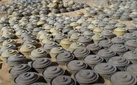 خلال سبتمبر 2023 منظمة سلام للإغاثة “مسام” تزيل أكثر من 4100 لغم في اليمن