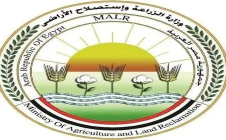 الزراعة تحذر من دعوات الامتناع عن إطعام الكلاب الضالة مخالفة للشرع والقانون