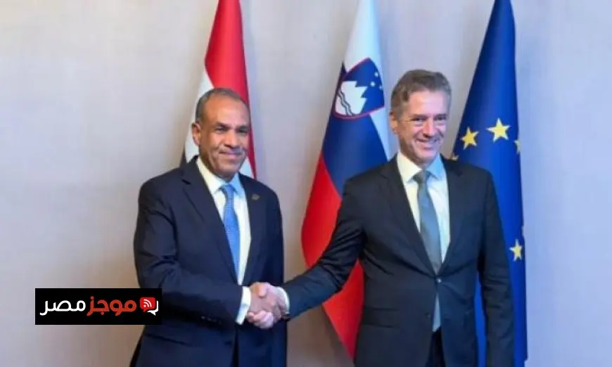 وزير الخارجية يعقد مباحثات مع رئيس وزراء سلوفينيا لتعزيز آليات التعاون المشترك