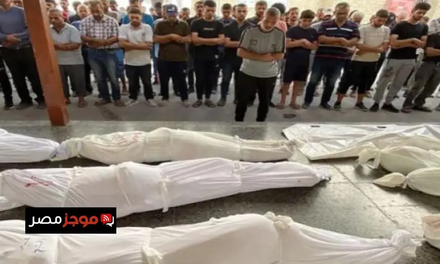 استشهاد 33 فلسطينيا في قطاع غزة منذ الفجر بينهم 9 كانوا ينتظرون المساعدات
