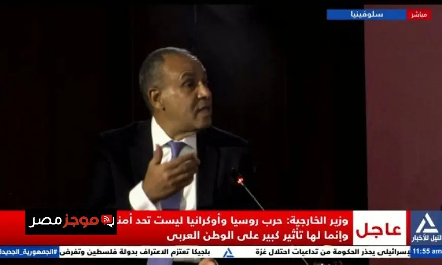 وزير الخارجية يحذر من تجاهل العالم للإبادة الجماعية في غزة