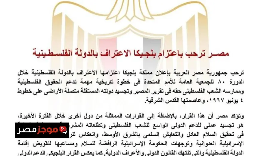 مصر تدعم خطوة بلجيكا نحو الاعتراف بالدولة الفلسطينية