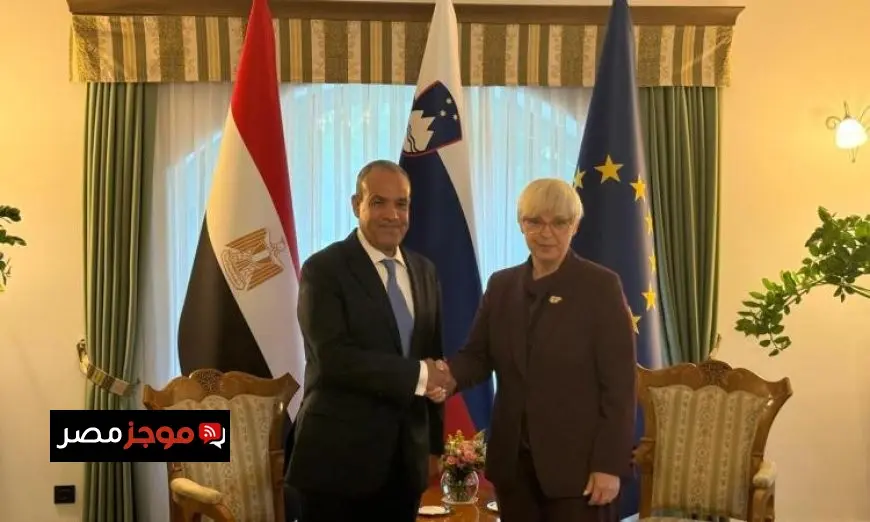 وزير الخارجية ينقل تحيات الرئيس السيسي إلى رئيسة جمهورية سلوفينيا