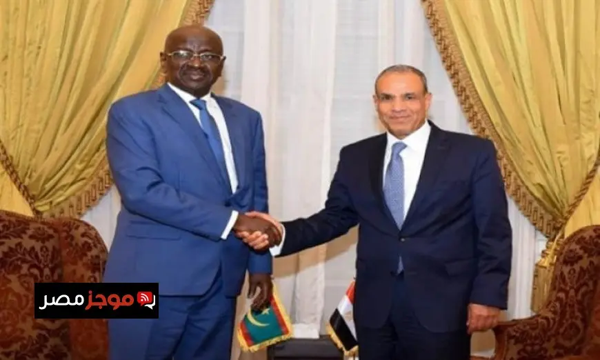 وزير الخارجية ونظيره الموريتاني يطالبان بوقف فوري للعدوان على قطاع غزة