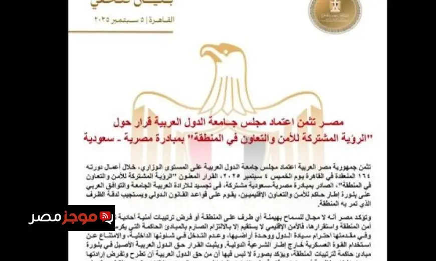 مصر تحتفل باعتماد الجامعة العربية قرار الرؤية المشتركة للأمن في المنطقة