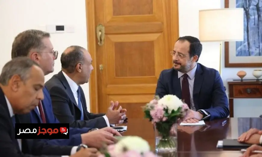 عبد العاطي يبرز دعم قبرص للقضية الفلسطينية في لقائه مع رئيس الجمهورية