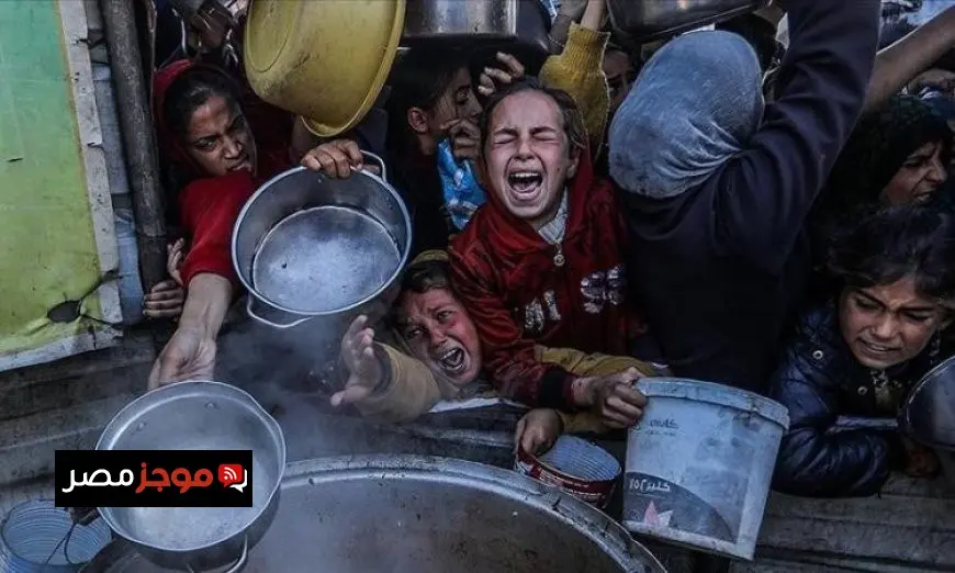 الأمم المتحدة تحذر من وفاة وتجويع الفلسطينيين بسبب انتهاكات إسرائيل للقانون الدولي