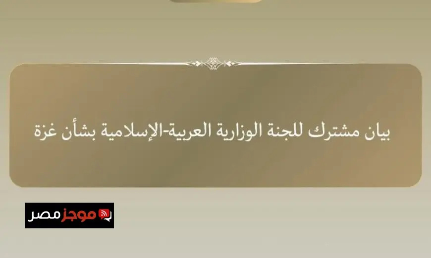 اللجنة العربية الإسلامية تؤكد على ضرورة وقف إطلاق النار بشكل فوري في غزة