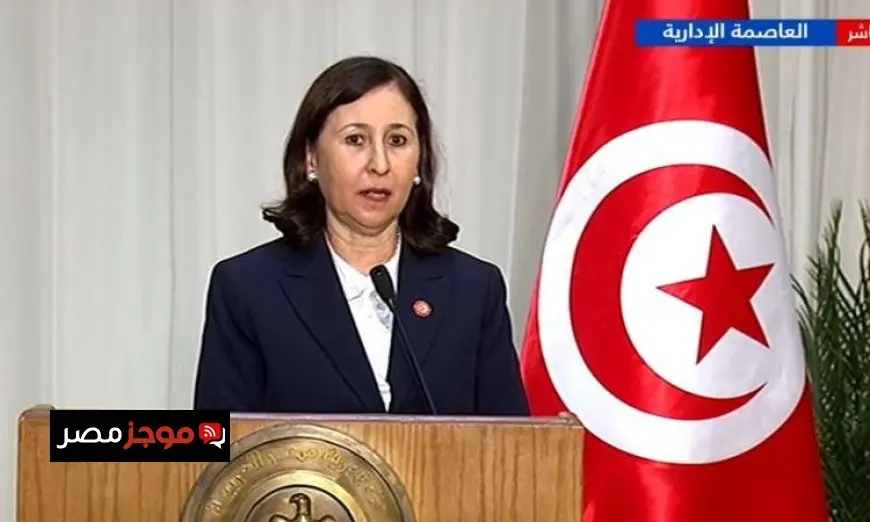 مصر وتونس تؤكدان موقفهما الراسخ ضد تهجير الفلسطينيين