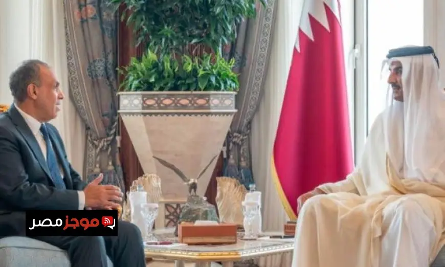 وزير الخارجية يسلم أمير قطر رسالة تضامن ودعم خاصة من الرئيس السيسي