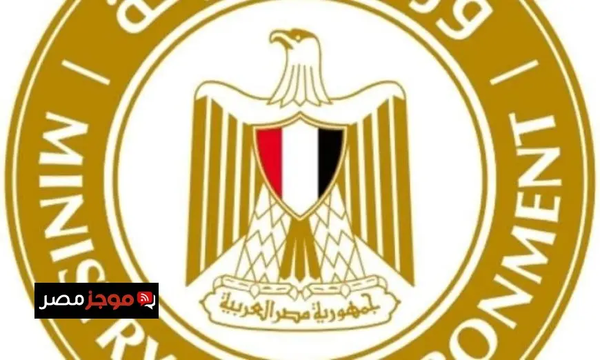 عوض يتخذ إجراءات سريعة بعد بلاغ العثور على تمساح في مياه البحر بالإسكندرية