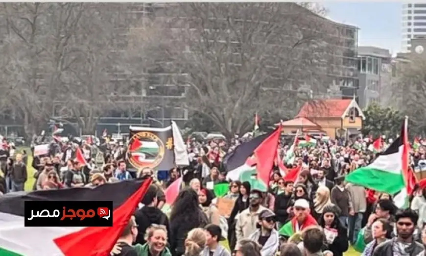 آلاف المتظاهرين يلتقون في مسيرة حاشدة لدعم الفلسطينيين في أكبر مدينة بنيوزيلندا