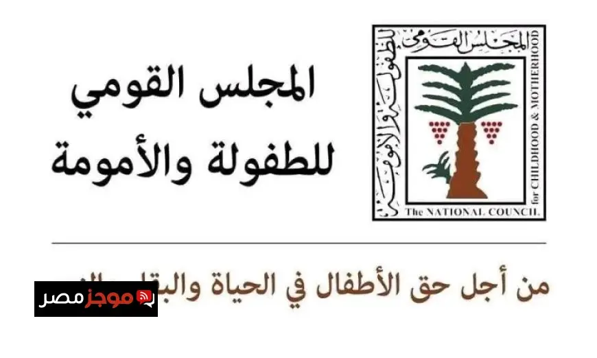 قومي الإعاقة يطلق دليل تدريبي شامل لحماية الأطفال المعرضين للخطر