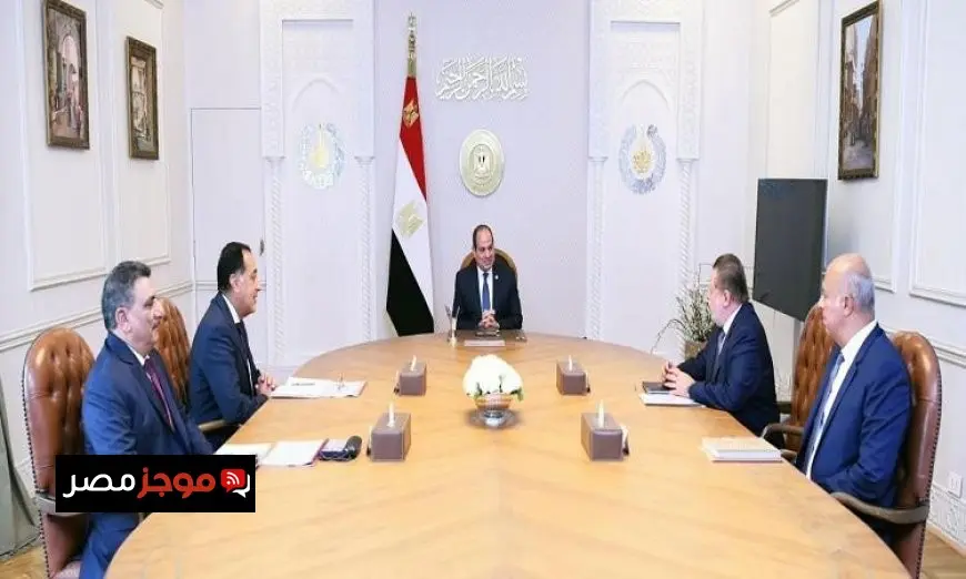 الرئيس السيسى يبرز أهمية التعاون مع شركتى سكاتك وصنجرو لتعزيز الاستثمارات في مصر