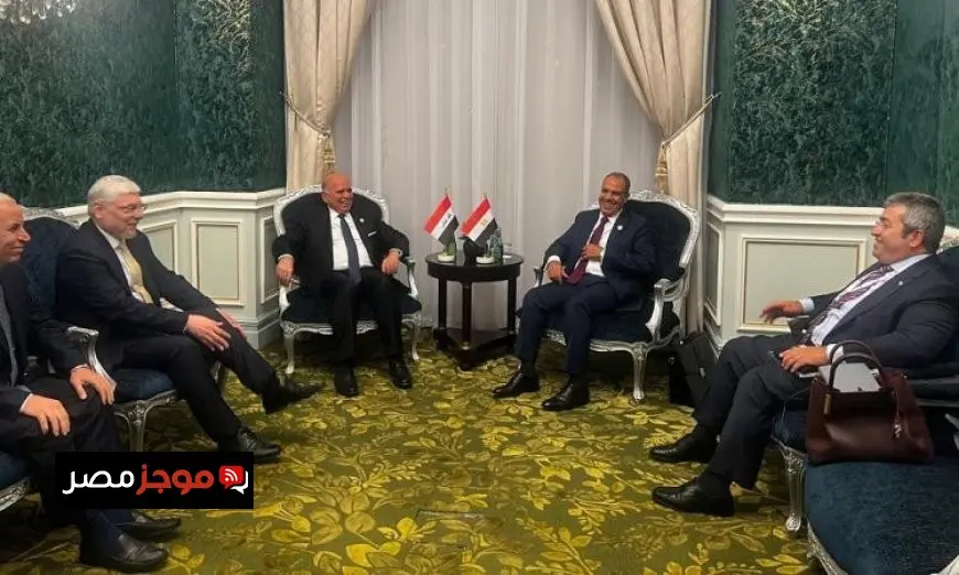 عبد العاطي ونظيره العراقي يدينان جرائم إسرائيل ضد الفلسطينيين بشكل قوي