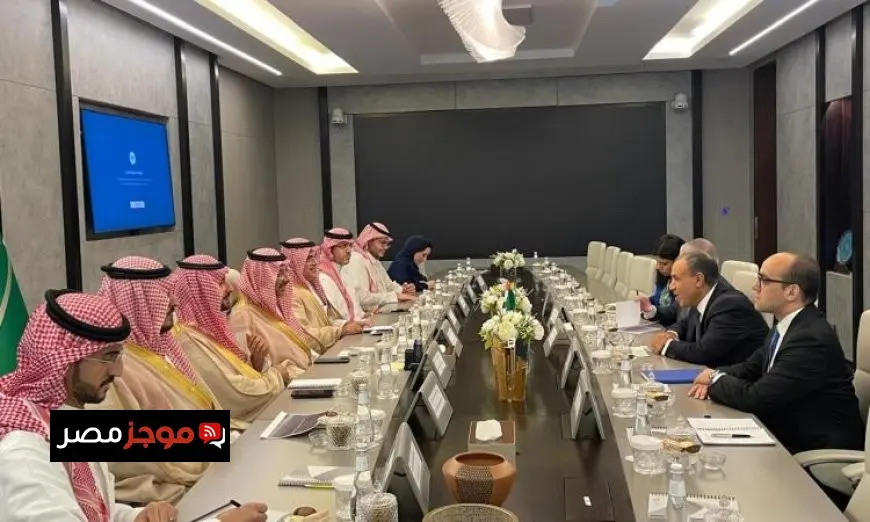 عبد العاطي يجتمع مع وزير الصناعة السعودي لمناقشة تعزيز التعاون في مجالات متعددة