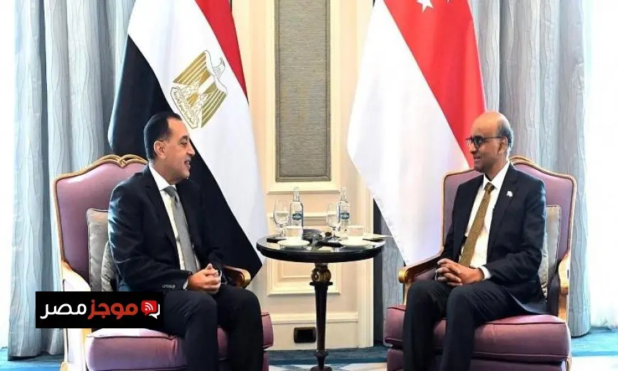 رئيس الوزراء يؤكد عزمه على تعزيز التبادل التجاري بين مصر وسنغافورة