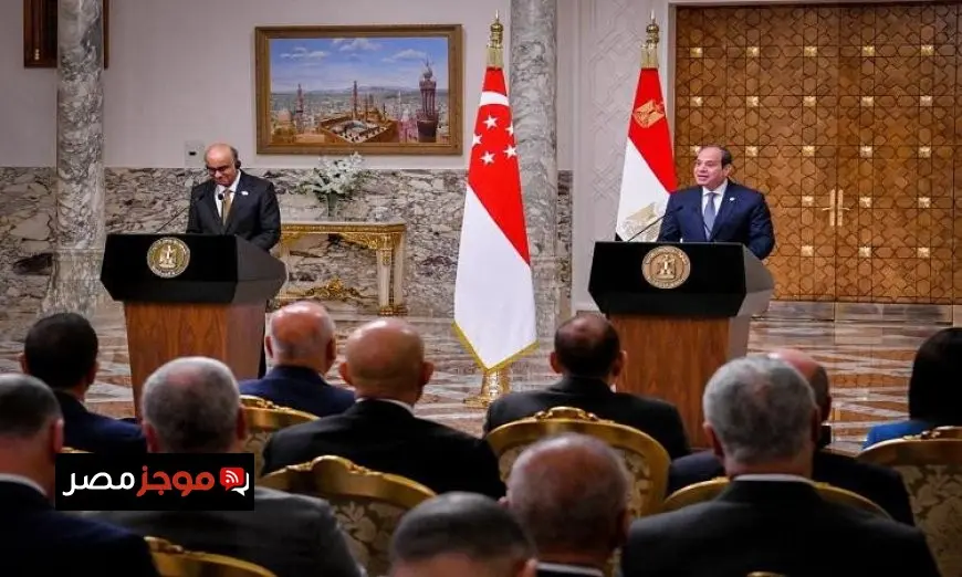رئيس سنغافورة يثمن جهود الرئيس السيسي في تعزيز العلاقات الثنائية بين البلدين