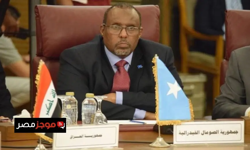 سفير الصومال في القاهرة يثني على دعم مصر القوي لبلاده