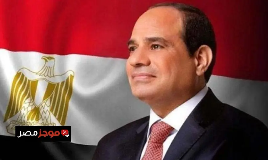 اعتراضات رئيس الجمهورية على الإجراءات الجنائية تُدرج في جدول أعمال النواب في أكتوبر