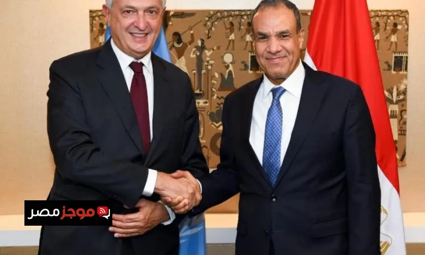 وزير الخارجية يدعو لاستمرار الضغط الدولي على إسرائيل لتحقيق وقف إطلاق النار في غزة