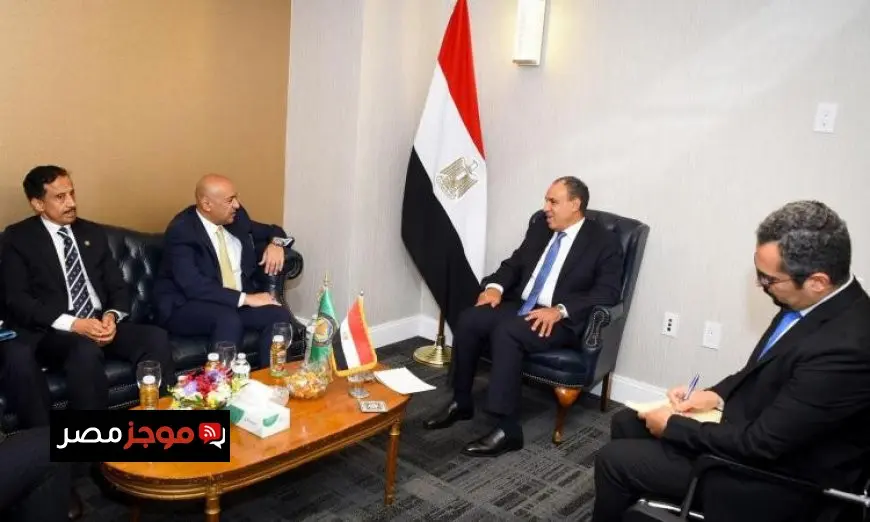 وزير الخارجية يبرز أهمية مجلس التعاون الخليجي في تعزيز التعاون العربي